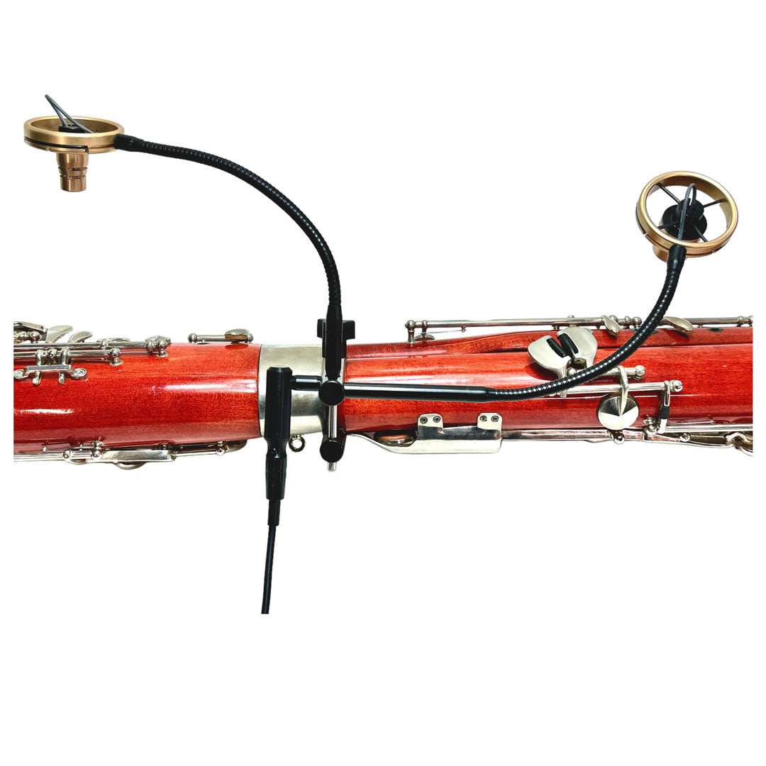 BSX2 (sistema de micrófono doble con cable)