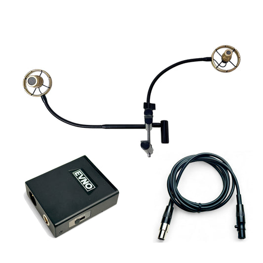 BSX2 (kabelgebundenes Doppelmikrofonsystem)