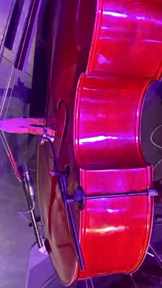 Evno ABX-STS - Acoustic Bass Microphone (Short Stand Mounted or H Clamp)